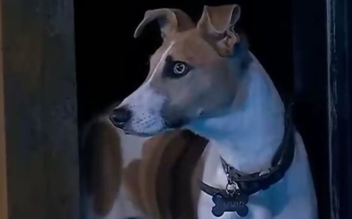 Arturo intentó morder a otro participante y Gran Hermano tomó una decisión irreversible