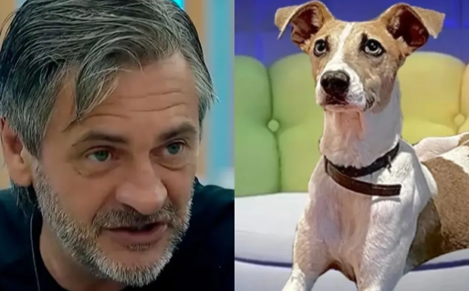 Preocupación en Gran Hermano con Arturo tras su inesperado ataque a Darío: el video