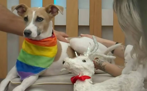 Arturo estuvo a punto de morder a Furia y hay preocupación por el futuro del perro en Gran Hermano 2023