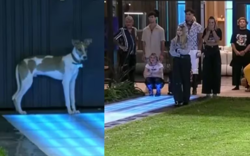 Entró un perrito a la casa de Gran Hermano y su llegada enloqueció a todos los participantes: “Mucho amor”