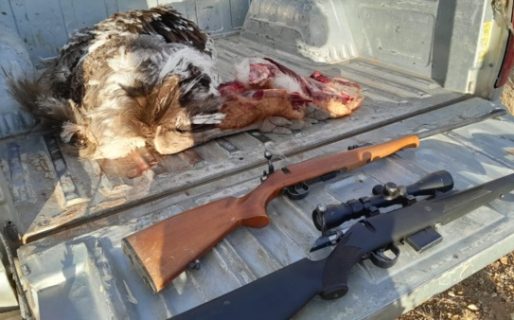 Secuestran armas y carne de guanaco