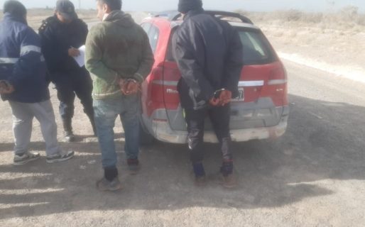 Tres detenidos por abigeato