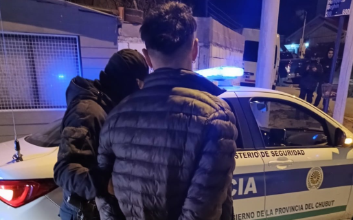 Detuvieron a joven por intento de robo en estación de servicio de General Mosconi