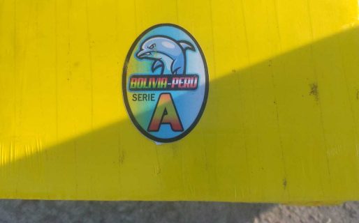 Cayó un cargamento con más de 60 kilos de cocaína