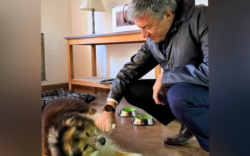 Torres valoró como «enorme gesto» que Menna adopte a un perro adulto