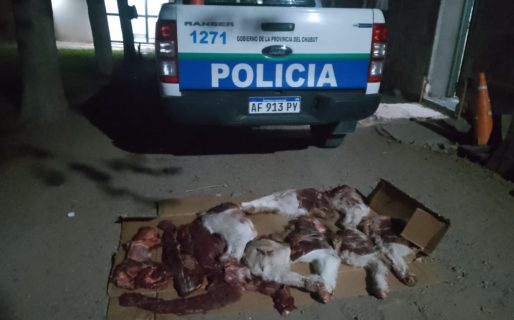 Secuestraron carne de guanaco y armas de fuego