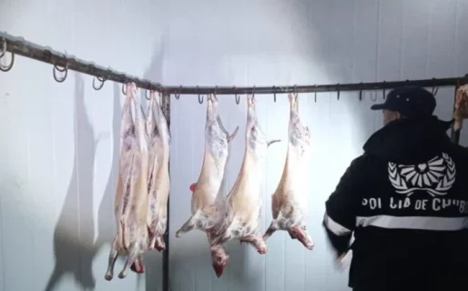 Llevaba animales faenados en la camioneta y lo detuvo la Policía