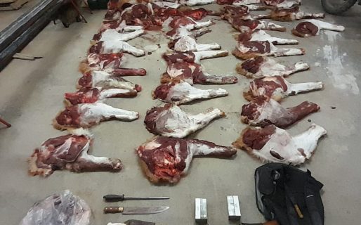 Secuestraron armas y una importante cantidad de carne de guanaco