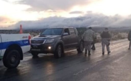 En un control operativo secuestraron 14 ovinos que eran trasladados en una camioneta