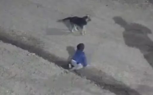 Policías rescataron a un bebé que gateaba solo por la calle en plena madrugada