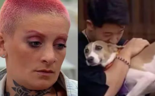 El grupo que rescató al perro Arturo convocó a una marcha hasta la casa de Gran Hermano para exigir su salida