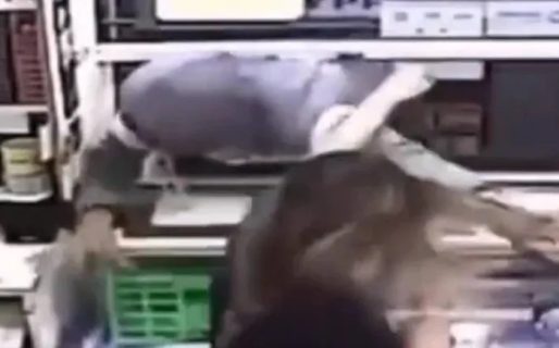 Una kiosquera que hace lucha libre sacó a las piñas a un «trapito» que intentó robarle