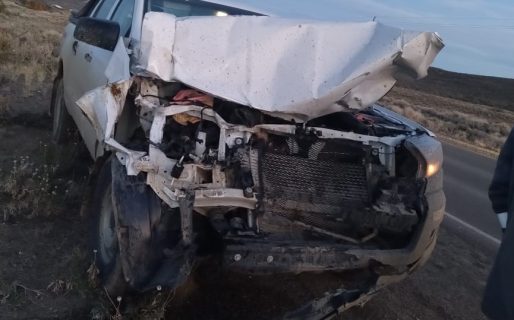 Una camioneta chocó contra un caballo en Ruta N°39