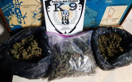 Secuestraron 700 dosis de cannabis sativa en un control vehicular