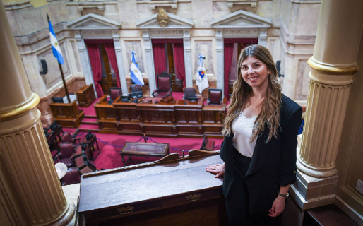 «No íbamos a permitir que eliminen la zona patagónica»