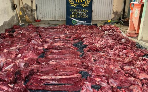 Transportaban 900 kilos de carne de guanaco