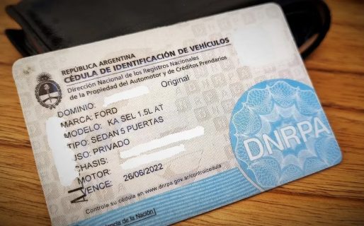 El Gobierno eliminó la cédula azul: cuáles son los documentos necesarios para circular desde hoy
