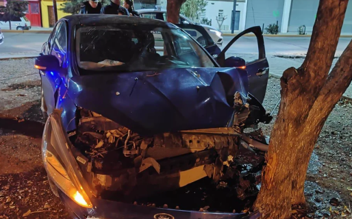 Manejaba borracho, quiso evadir un control y chocó contra un árbol y un patrullero