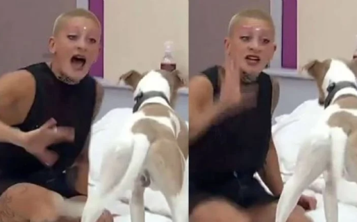 El refugio de Arturo, el perro de Gran Hermano, pidió que lo saquen por la violencia de Furia