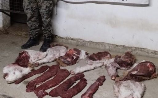 Realizaban un control y detuvieron a un conductor con carne de guanaco