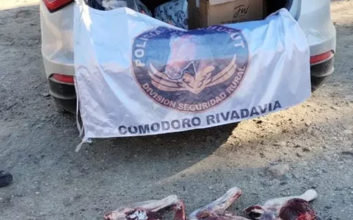 Dos hombres fueron sorprendidos transportando carne de guanaco y ovino