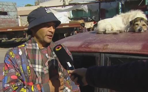 Lo escracharon por llevar a su perro en el techo del auto, y se defendió: “Yo no lo obligo, es un placer para él”