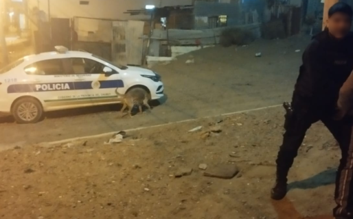 Dos mujeres y un hombre fueron detenidos por robar un bolso en una iglesia
