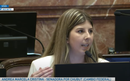 Andrea Cristina: «Voy a acompañar estos dos proyectos de Ley»