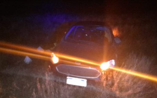 Viajaba con su perro, perdió el control del auto y volcó