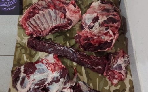 Incautaron carne de ciervo, armas de fuego y municiones