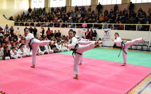 Se disputa la IV edición de la Copa de Taekwon-do ITF “Día de la Bandera”