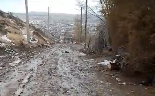 Piden que pase la máquina por calles del barrio San Martín