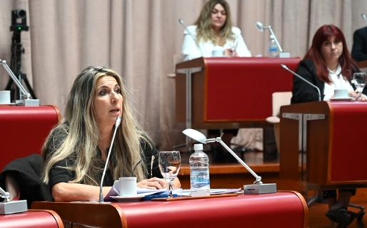 Caminoa: “La de Chubut es una de las Legislaturas más austeras del país”