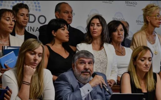 En una semana clave para Milei, CFK reúne apura acuerdos en el Senado para frenar la Ley Bases