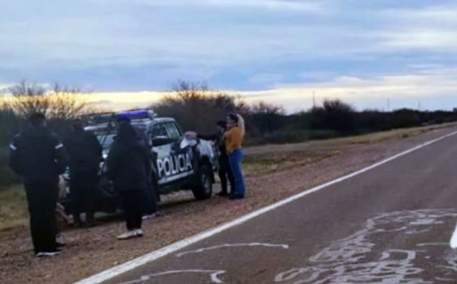 Detuvieron a una mujer que viajaba a Neuquén con una nena de 5 años que había desaparecido
