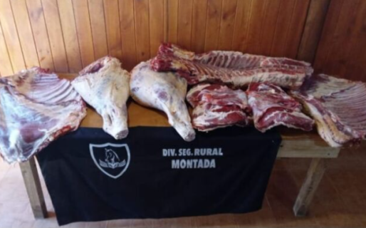 Decomisaron carne transportada de forma irregular en la Ruta 40