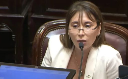 El exabrupto de una senadora en su discurso: “Milei es un enfermo mental, no está apto para ser presidente”