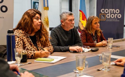 Se avanza en la delineación de los fundamentos de asistencia sanitaria para el convenio entre Comodoro y Coyhaique