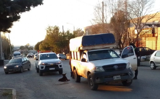 Manejaba completamente borracho y se quedó dormido en un semáforo