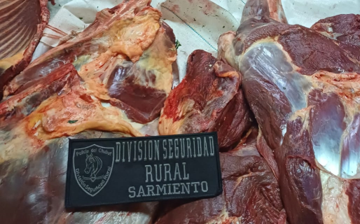 Llevaba carne y neumáticos escondidos en un camión