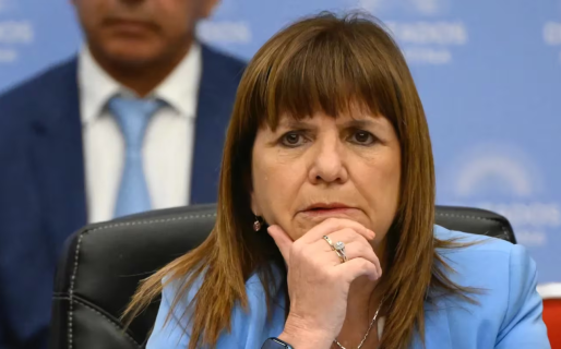 Tenencia de armas, Ley Antimafia y datos genéticos: los proyectos de Bullrich que avanzan en Diputados