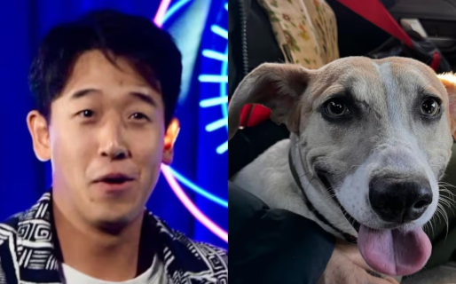 Martín Ku mostró cómo pasó el perro Arturo de Gran Hermano la primera noche en su nueva casa