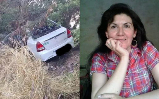 Dos maestras hicieron dedo en la ruta, el auto que las llevaba chocó contra caballos y una de ellas murió