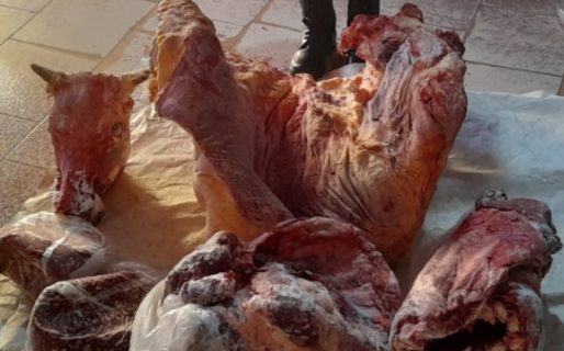 Lo atraparon viajando hacia Comodoro con media vaca congelada en el baúl