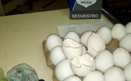 La esposa le llevó un maple de huevos a la cárcel: uno tenía drogas