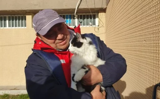 Duerme afuera de la Terminal con sus tres gatos y pide ayuda