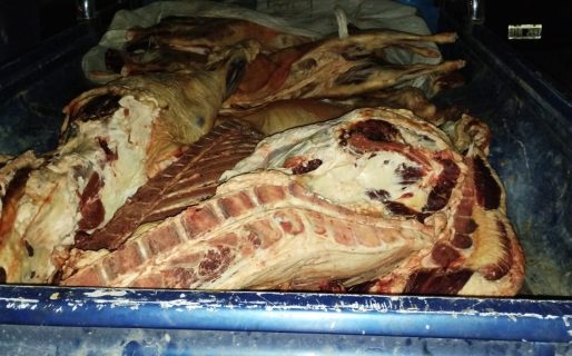 Secuestraron 400 kilos de carne faenada
