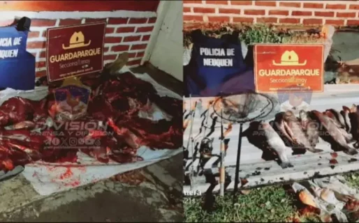 Atraparon a cazadores furtivos con un ciervo faenado y truchas en Ruta 40