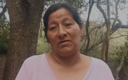 Prueba clave en el caso Loan: los peritos lograron abrir el celular de Laudelina