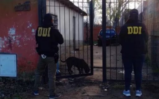 Una beba de nueve meses quedó hemipléjica tras ser golpeada por su tía